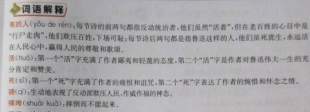 澳门一码一肖一特一中详情的词语释义、解释与落实