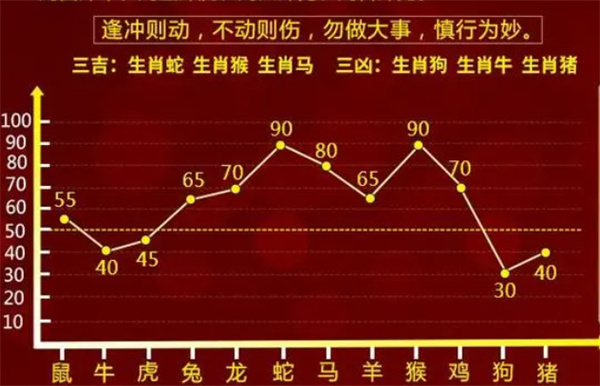 婆家一肖一码100的全面释义、解释与落实