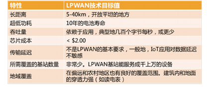 2025新奥一码一肖一特的词语释义、解释与落实